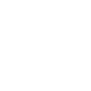 Frederikshavn White Hawks